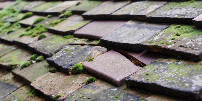 Bryn Du roof repair costs